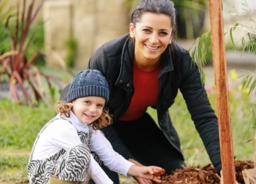 Image of tree planting in Innaloo